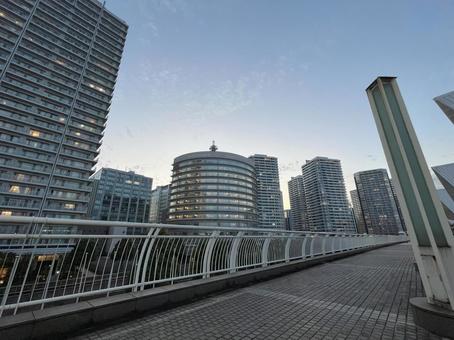 みなとみらいのビル群 みなとみらいのビル群 横浜駅,横浜,神奈川の写真素材