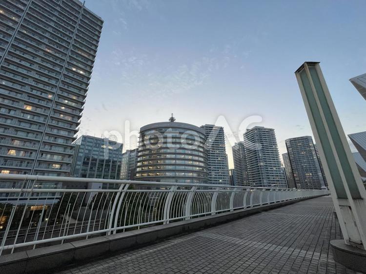 みなとみらいのビル群 横浜駅,横浜,神奈川の写真素材
