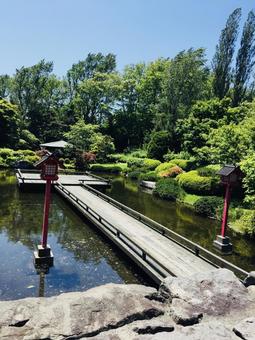日本庭園 日本庭園の写真