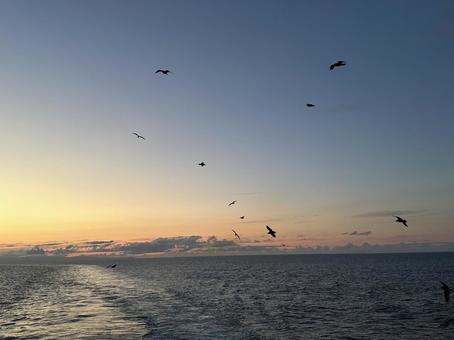 夕暮れ時 海,夕暮れ,日本海の写真素材