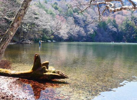 美しい湯の湖の風景の写真