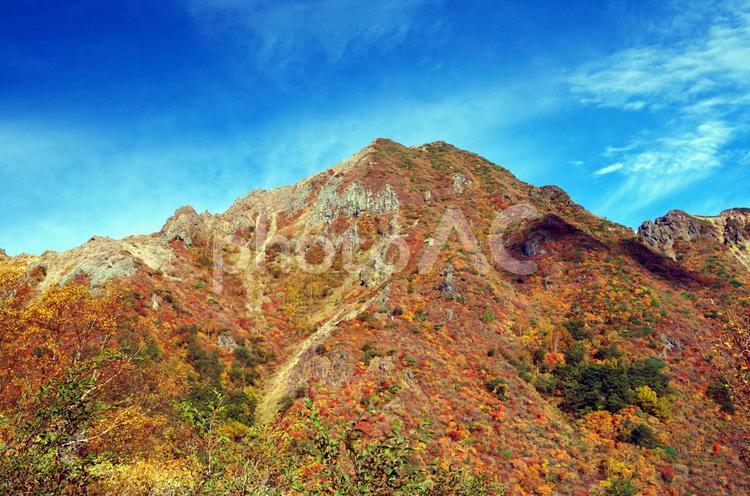栃木県　那須町　紅葉シーズンの那須岳 那須,那須岳,栃木県の写真素材