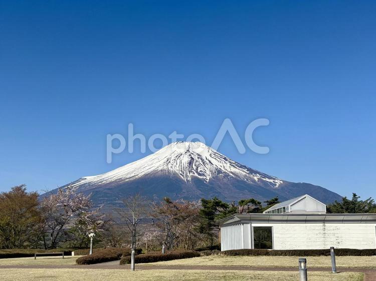 富士山 富士山,山,mt.fujiの写真素材