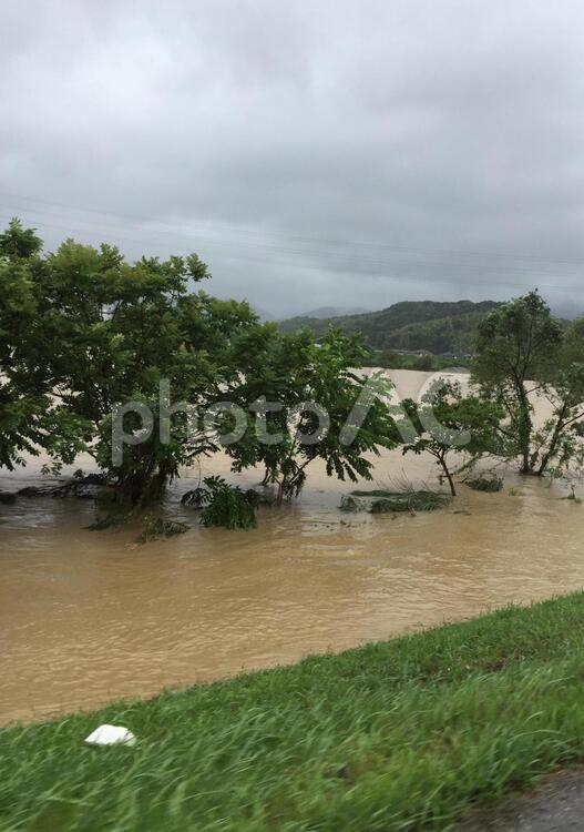 台風による河川氾濫 台風,川,雨の写真素材