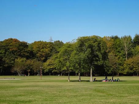 小金井公園の広場でランチ 小金井公園の広場でランチ 小金井公園,木,緑の写真素材