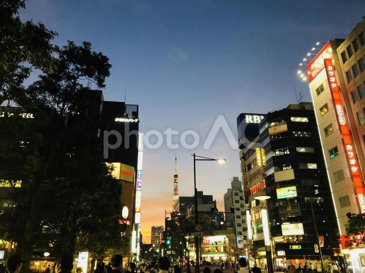 日本生命浜松町クレアタワー前から見た東京タワーの夜景 夜景,クレアタワー,日本生命浜松町クレアタワーの写真素材