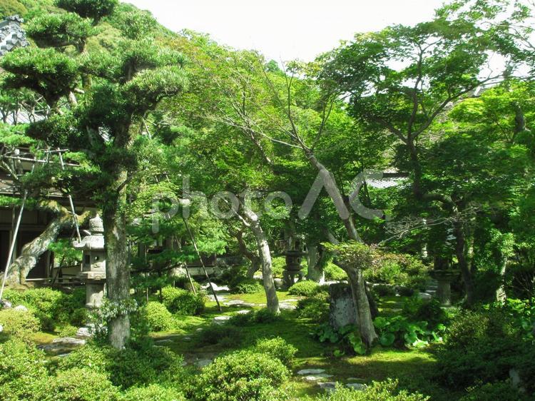 大阪府-金剛寺-本坊-枯山水庭園 金剛寺,寺,天野山の写真素材