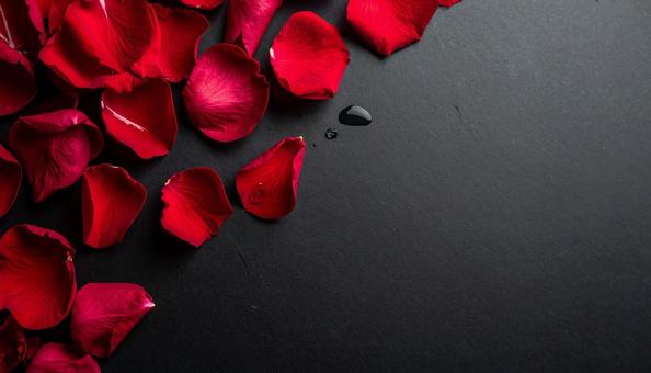 黒い背景に置かれた薔薇の花びら 黒い背景に置かれた薔薇の花びらの写真