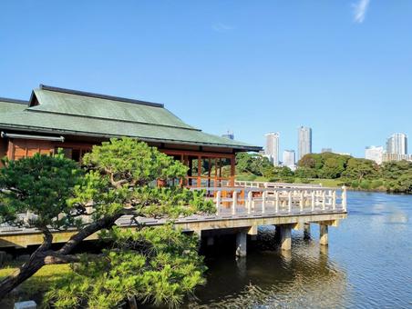 浜離宮恩賜庭園 浜離宮恩賜庭園 浜離宮恩賜庭園,癒し,自然の写真素材
