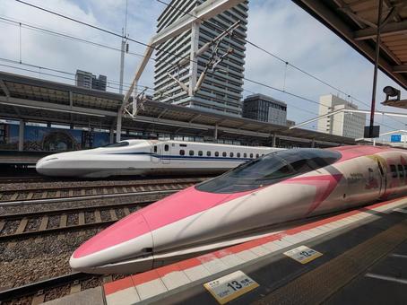 700系と並ぶ500系新幹線(コラボ) 700系と並ぶ500系新幹線(コラボ) 新幹線,こだま,500系の写真素材
