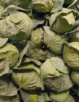 キャベツ キャベツ,野菜,作物の写真素材
