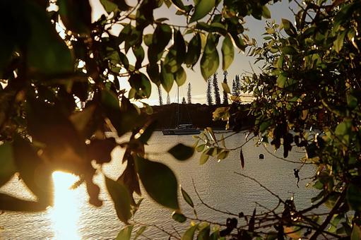 ニューカレドニア　イルデパン島89ヨットの写真