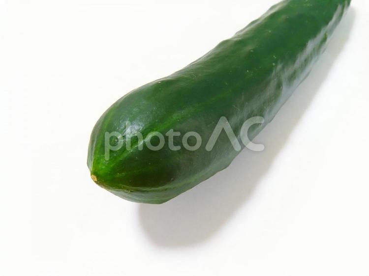 きゅうり　生野菜 きゅうり,胡瓜,キュウリの写真素材