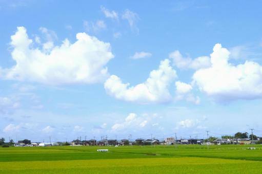 天高いのどかな田園風景　秋の新潟 風景,のどか,田んぼの写真素材