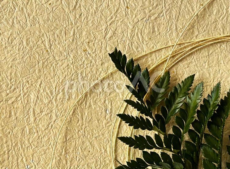 きらめく和紙に結ぶ祝彩 正月,背景,正月飾りの写真素材