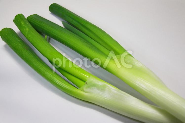 長ネギ（色鮮やか採れたて新鮮野菜） 長ネギ,長葱,長ねぎの写真素材