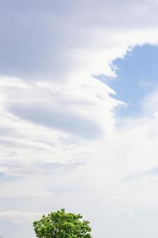 初夏の空 初夏の空の写真
