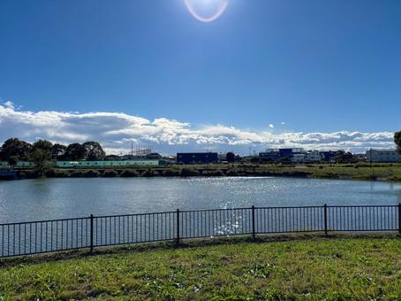 公園の池と陽光 公園,池,湖の写真素材