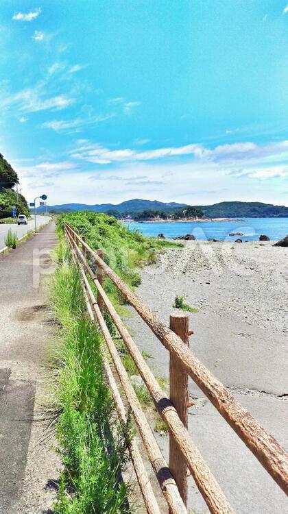夏の海沿い 風景,自然,海岸の写真素材