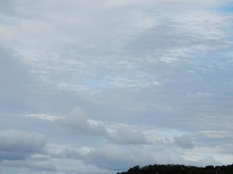 【空の写真】秋空 秋空,空,雲の写真素材