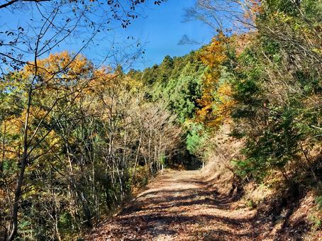 ときがわトレッキングコース ときがわトレッキングコース ときがわ,トレッキング,ときがわトレッキングコースの写真素材