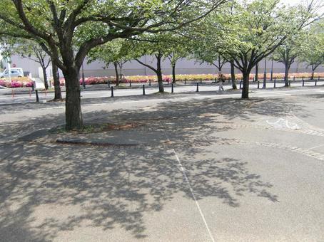 公園の木と影-1 公園,広場,木の写真素材