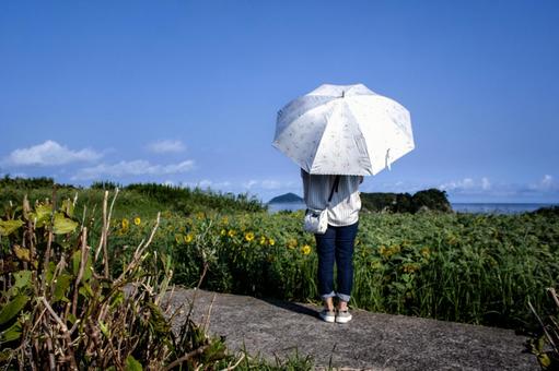 ＜素材＞夏の海と向日葵を眺める日傘の女性 女性,ひまわり,ひまわり畑の写真素材