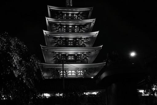 夜の五重塔 夜の五重塔の写真