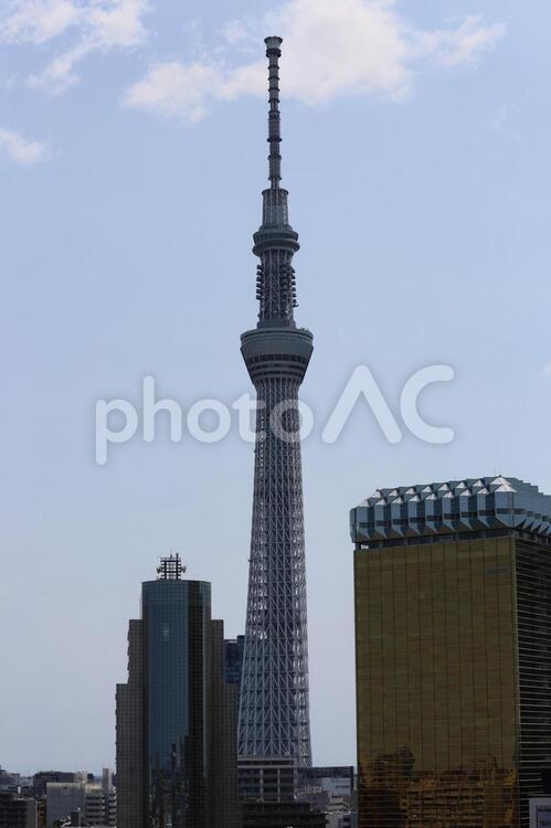 「東京スカイツリー」一景(東京都) 東京スカイツリー,スカイツリー,電波塔の写真素材