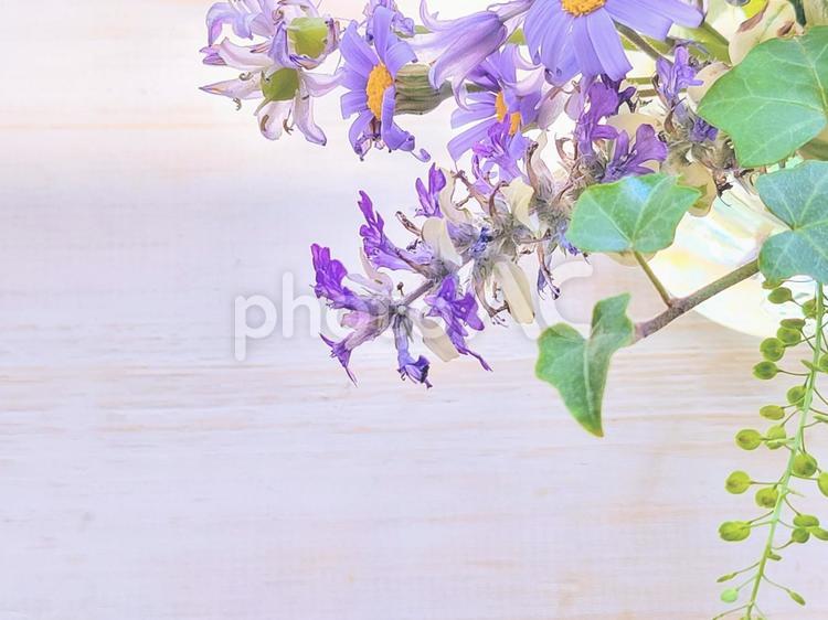 白い木目テーブルに置いた紫色の花 紫色,花,ガーデニングの写真素材