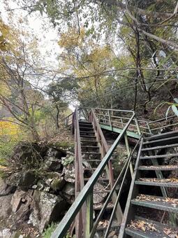 晩秋の田舎 風景,レトロ,ノスタルジーの写真素材