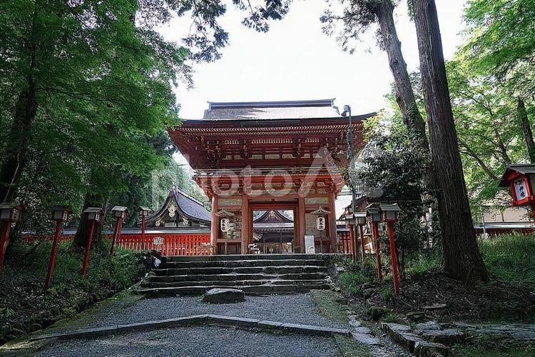 パワースポット　日吉大社　東本宮　摂社④ 滋賀県,大津市,日吉大社の写真素材