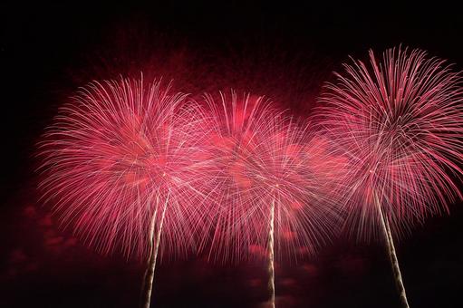 25年長岡まつり 花火 25年長岡まつり 花火の写真