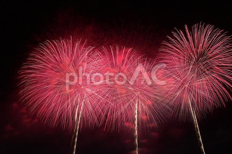 25年長岡まつり　花火 夜空,花火,風景の写真素材