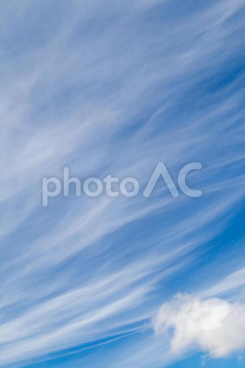 刷毛で描いたような雲とさわやかな青空 青空,空,雲の写真素材