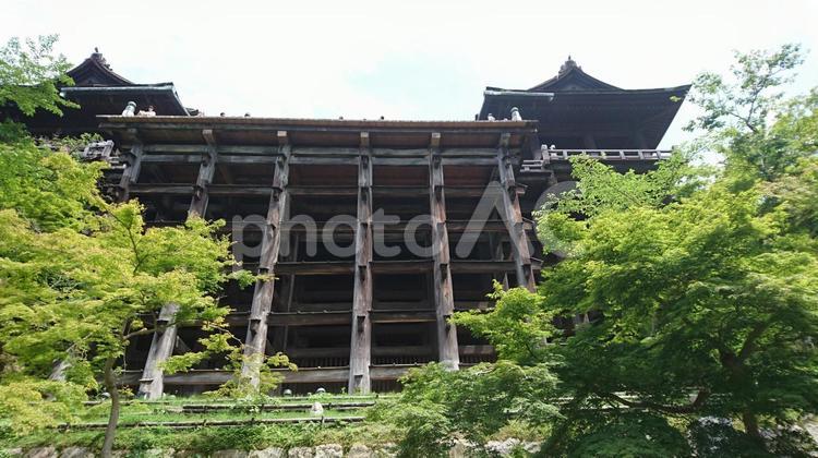 清水寺 京都 緑清水寺 京都,清水寺,景色の写真素材