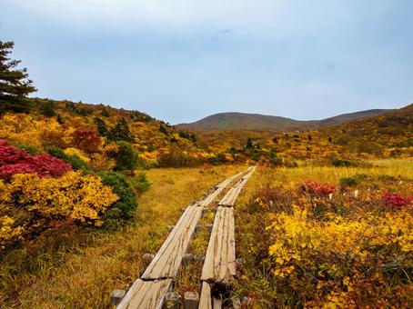 紅葉の栗駒山(須川岳) 紅葉の栗駒山(須川岳) 栗駒山,須川岳,神の絨毯の写真素材