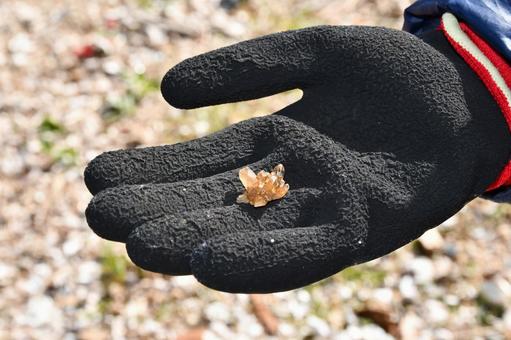 ちいさな水晶みつけた 水晶,水晶拾い,茶色の写真素材