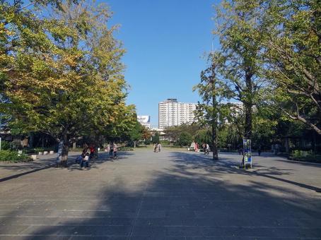 Photo, hamacho park, chuo ward, nihonbashi hamacho, park, 