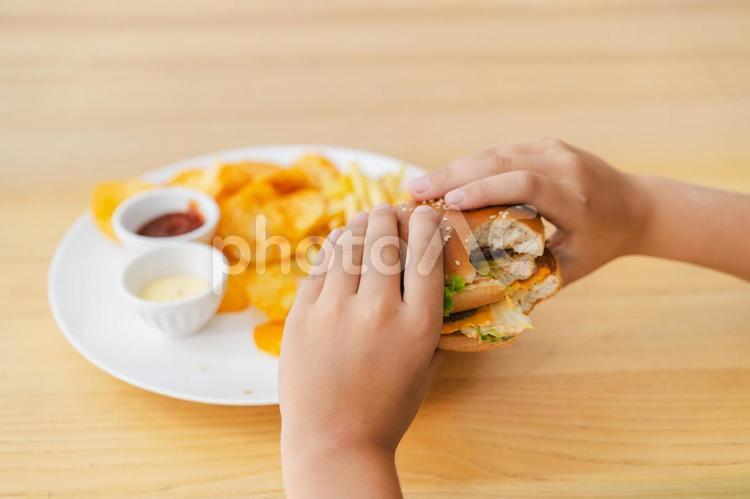 食べかけのハンバーガーを持っている人の手元 手元,人物,食べ物の写真素材