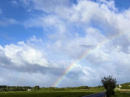緑に囲まれた土地と空に広がる虹 緑に囲まれた土地と空に広がる虹の写真