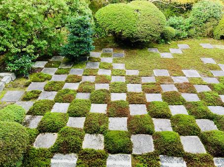 京都　東福寺　庭 京都,寺,秋の写真素材