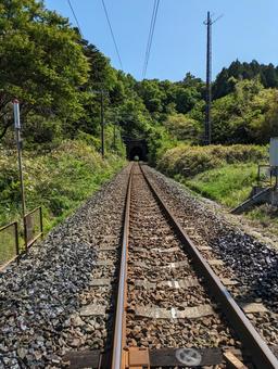 緑萌ゆる単線のトンネル　線路長めVer. トンネル,線路,単線の写真素材
