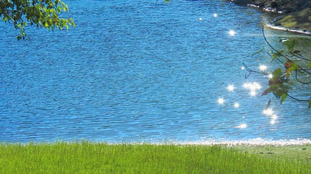 湖畔 湖畔,水辺,アウトドアの写真素材