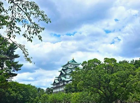 名古屋城 名古屋城 名古屋城,城,名古屋の写真素材