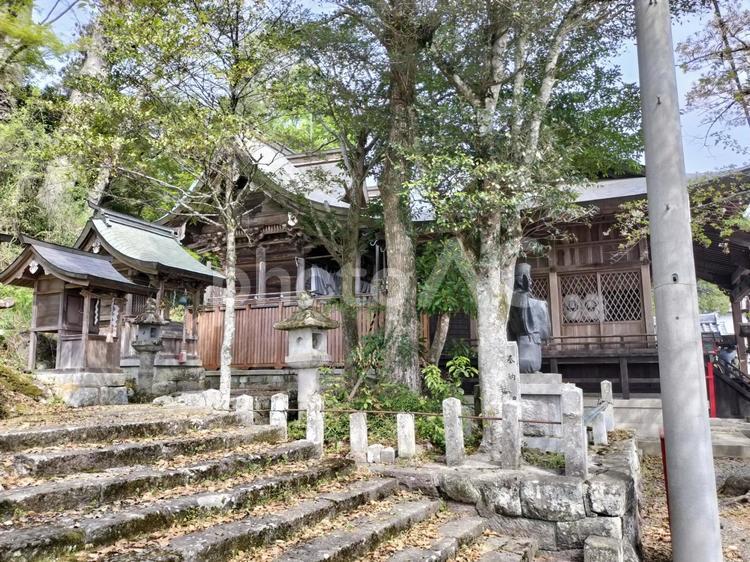 春日神社　拝殿と本殿 春日神社,拝殿,本殿の写真素材