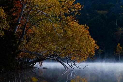 オンネトーの紅葉 オンネトーの紅葉,オンネトー,紅葉の写真素材