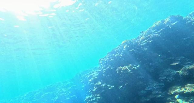 石垣島_珊瑚礁 石垣島_珊瑚礁の写真