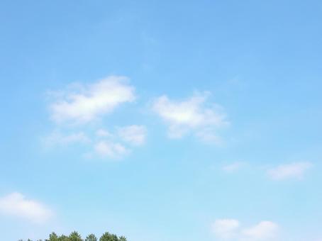 【空の写真】秋空 【空の写真】秋空 秋空,空,雲の写真素材
