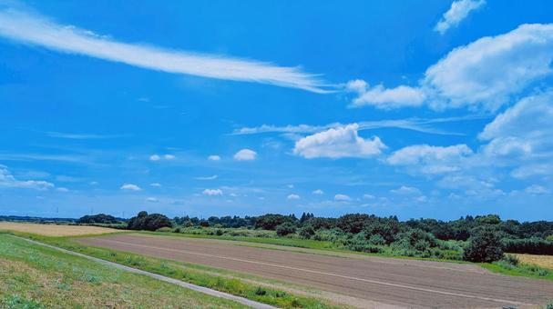夏空と畑 夏空と畑 空,青空,雲の写真素材